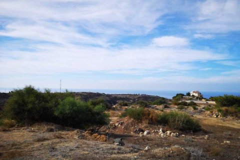 8696m² Land in Pissouri, Cyprus No. 71761 3