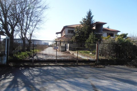 2524m² Business in Pieria, Greece No. 60560 1