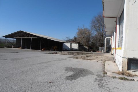 2524m² Business in Pieria, Greece No. 60560 6