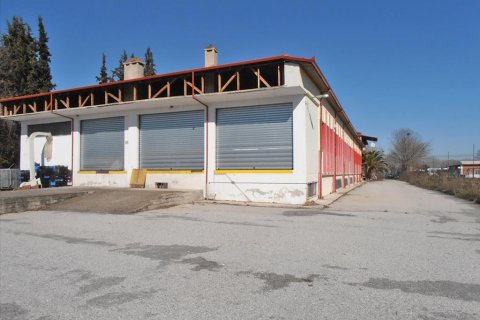 2524m² Affaires à Pieria, Greece No. 60560 2