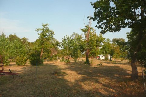 18000m² Land en Chalkidiki, Greece No. 60559 14