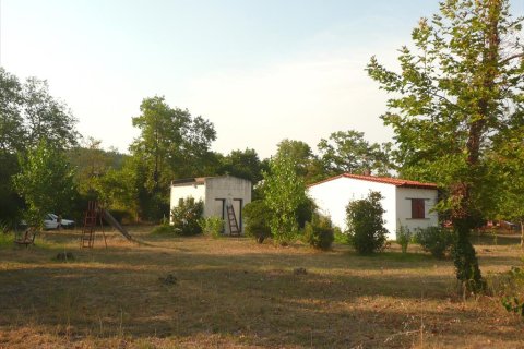 18000m² Land in Chalkidiki, Greece No. 60559 13