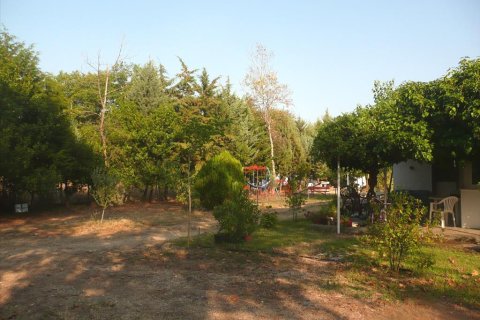 18000m² Land à Chalkidiki, Greece No. 60559 5