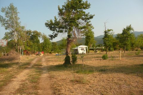 18000m² Land à Chalkidiki, Greece No. 60559 10