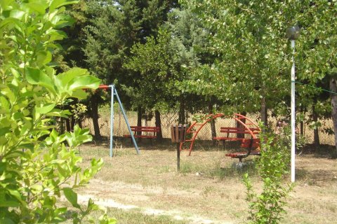 18000m² Land in Chalkidiki, Greece No. 60559 16