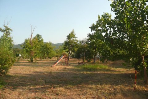 18000m² Land en Chalkidiki, Greece No. 60559 3