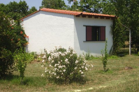 18000m² Land à Chalkidiki, Greece No. 60559 15