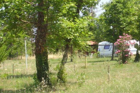 18000m² Land in Chalkidiki, Greece No. 60559 1