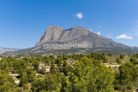 4 bedrooms Villa in Finestrat, Spain No. 25770 20