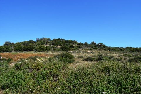 40000m² Land en Rethymno, Greece No. 58143 1