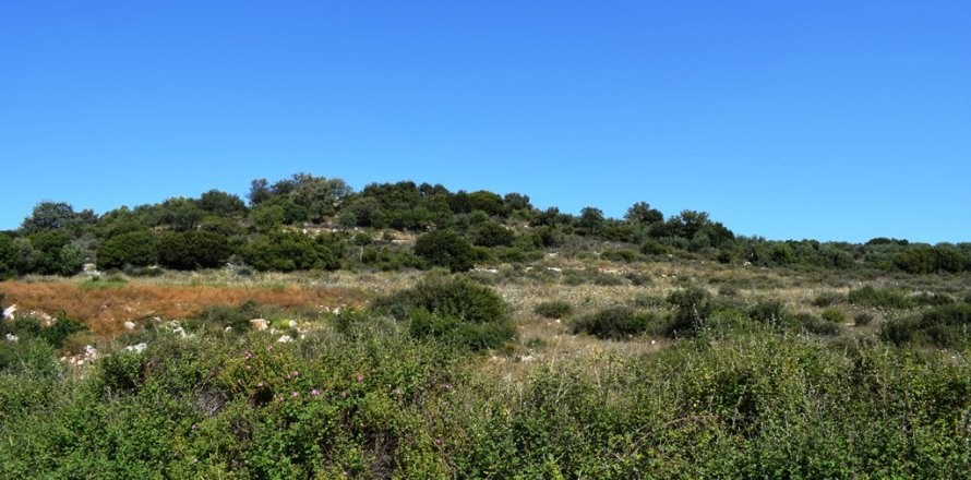 40000m² Land in Rethymno, Greece No. 58143