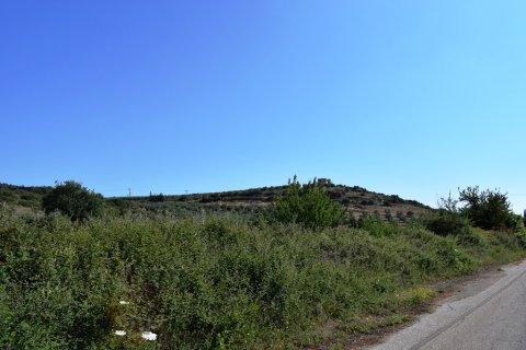 40000m² Land en Rethymno, Greece No. 58143 4