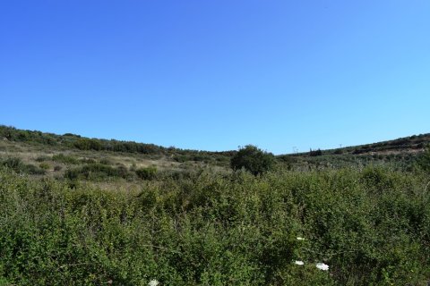 40000m² Land in Rethymno, Greece No. 58143 2