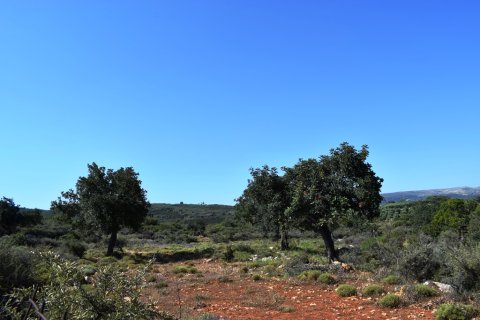 50000m² Land in Rethymno, Greece No. 58144 4