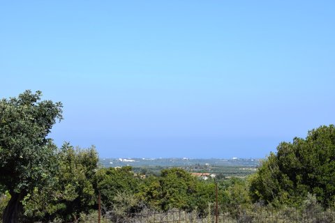 50000m² Land in Rethymno, Greece No. 58144 1