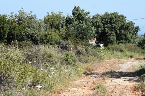 50000m² Land in Rethymno, Greece No. 58144 7