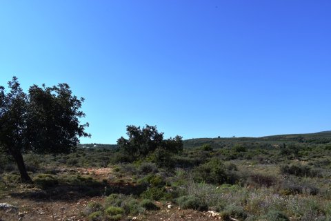 50000m² Land in Rethymno, Greece No. 58144 2