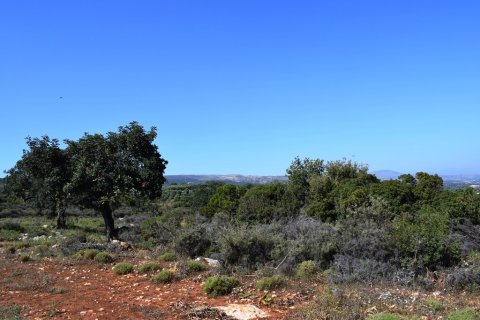 50000m² Land en Rethymno, Greece No. 58144 3