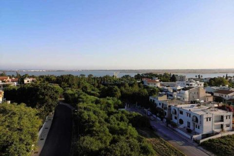 3 bedrooms Penthouse in Larnaca, Cyprus No. 34220 16