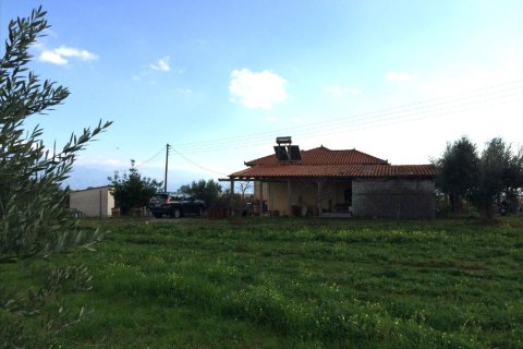 2 dormitorios Villa en Messenia, Greece No. 58805 4