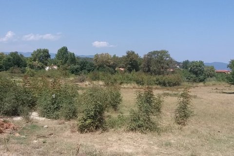 50000m² Land in Chalkidiki, Greece No. 57745 5