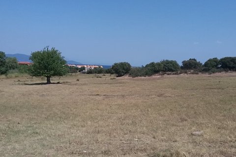 50000m² Land en Chalkidiki, Greece No. 57745 3