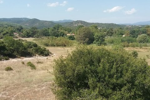 50000m² Land in Chalkidiki, Greece No. 57745 7