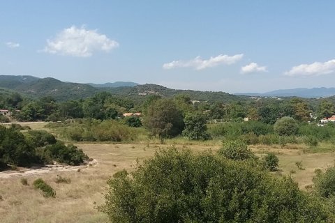 50000m² Land in Chalkidiki, Greece No. 57745 6