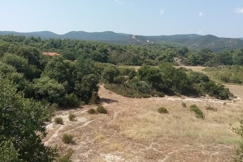 50000m² Land in Chalkidiki, Greece No. 57745 1