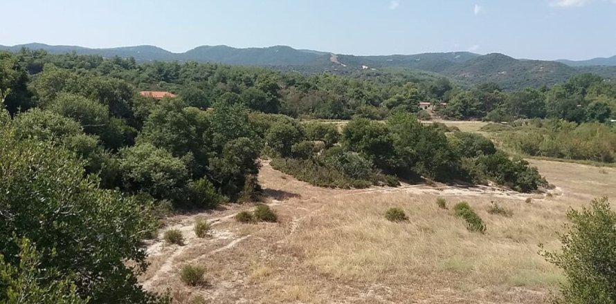 50000m² Land in Chalkidiki, Greece No. 57745