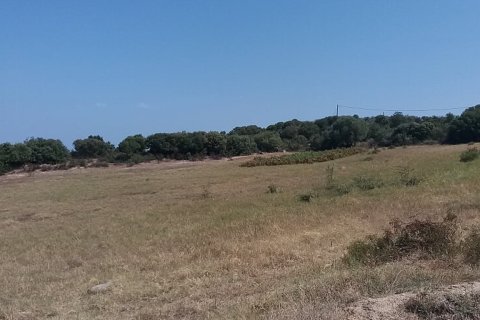 50000m² Land in Chalkidiki, Greece No. 57745 4