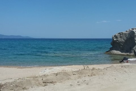 50000m² Land in Chalkidiki, Greece No. 57745 12