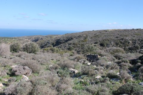 5300m² Land in Agios Nikolaos, Greece No. 57751 2