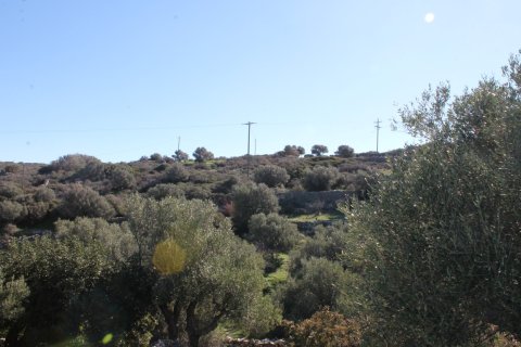 5300m² Land in Agios Nikolaos, Greece No. 57751 3