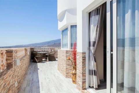 2 bedrooms Villa in Santa Cruz de Tenerife, Spain No. 26577 19