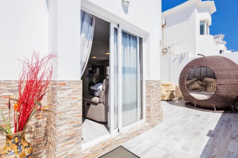 2 bedrooms Villa in Santa Cruz de Tenerife, Spain No. 26577 18