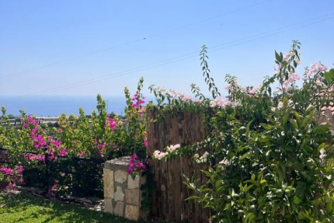 4 rooms Appartement à Alanya, Turkey No. 21863 17