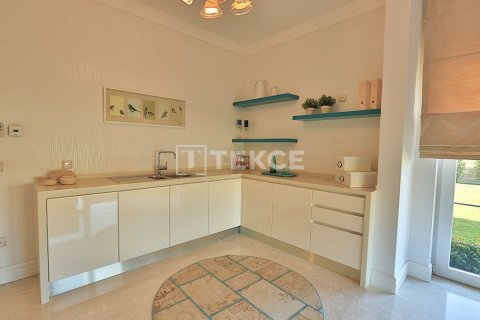 5+1 Villa en Bueyuekcekmece, Turkey No. 21859 15