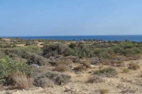 36860m² Land à Pissouri, Cyprus No. 35715 3