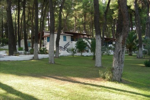 4 bedrooms Maisonette in Chalkidiki, Greece No. 56358 10