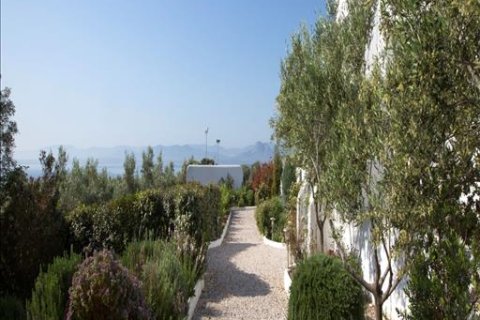 500m² Villa in Loutraki, Greece No. 60075 5