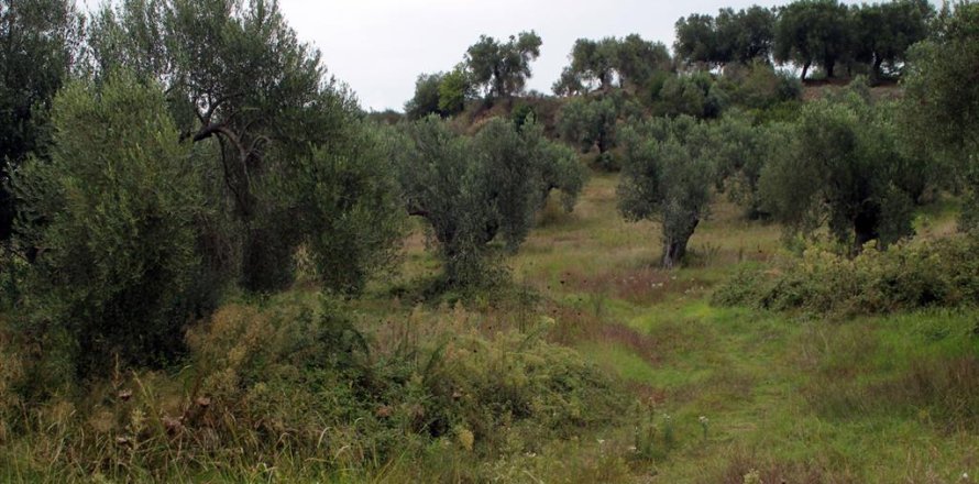 18237m² Land in Chalkidiki, Greece No. 60074