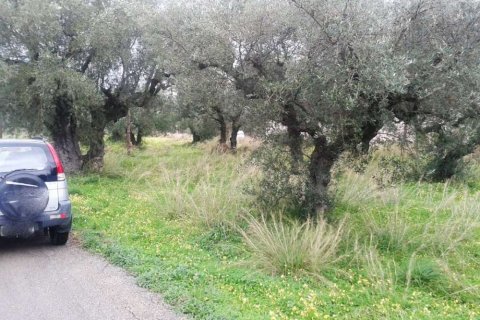 Land à Zakynthos, Greece No. 24605 6