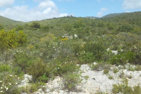 Land in Zakynthos, Greece No. 24603 7