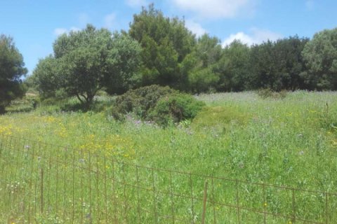 Land in Zakynthos, Greece No. 24603 13