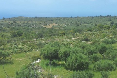 Land in Zakynthos, Greece No. 24603 11