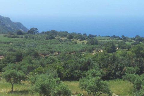 Land in Zakynthos, Greece No. 24603 1