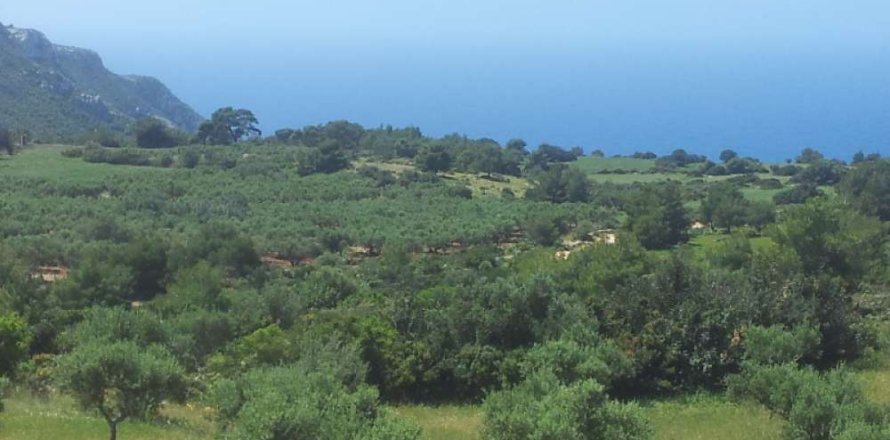 Land in Zakynthos, Greece No. 24603