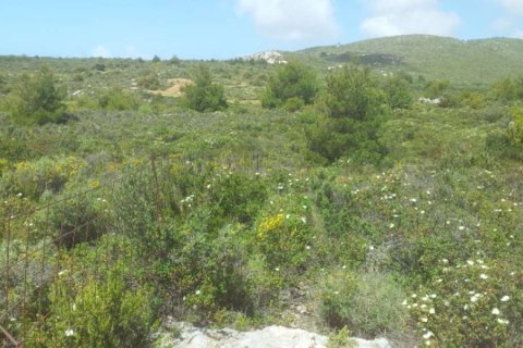 Land in Zakynthos, Greece No. 24603 6