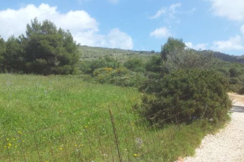 Land en Zakynthos, Greece No. 24603 4